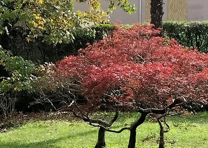 Casa Azalea דירה *
